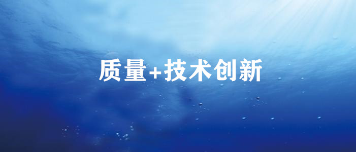 質量+技術創新 質量+技術創新