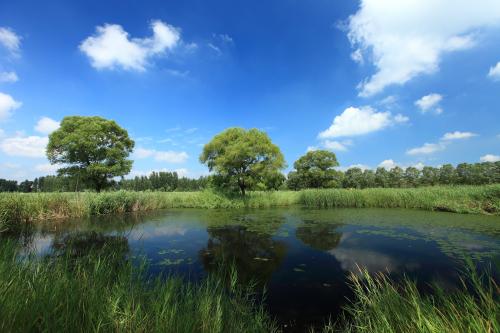 污泥處理 污泥處理