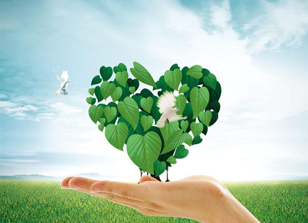 污泥環保烘干機 污泥環保烘干機