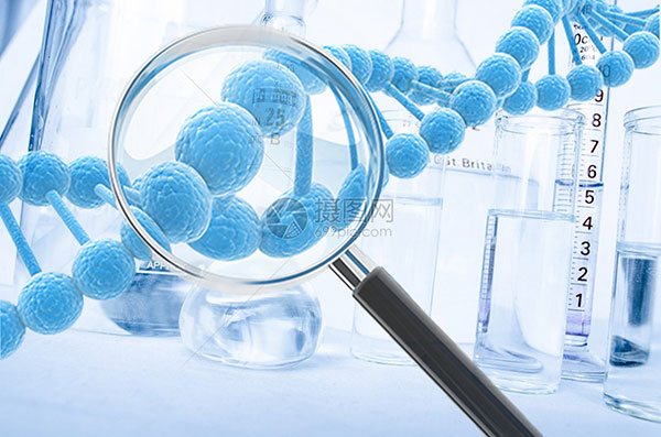制藥污泥烘干機助力醫藥行業 制藥污泥烘干機助力醫藥行業